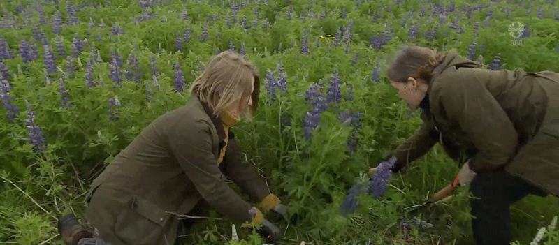 Ánægjuleg viðbót við sprotasamfélagið á Tæknisetri